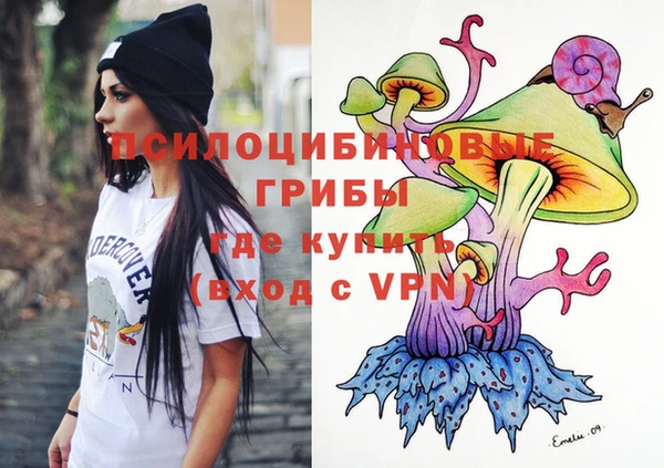 jwh Белокуриха
