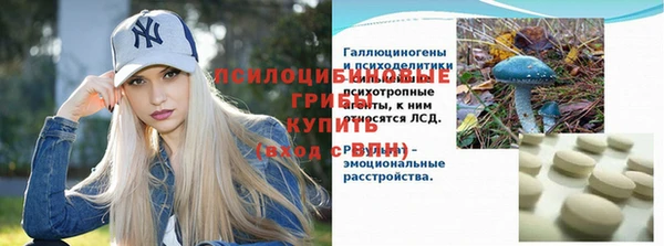 метадон Богородицк